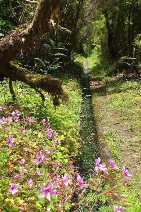 Santana Central Garden Wifi Park Quiet Area 12D Esterno foto